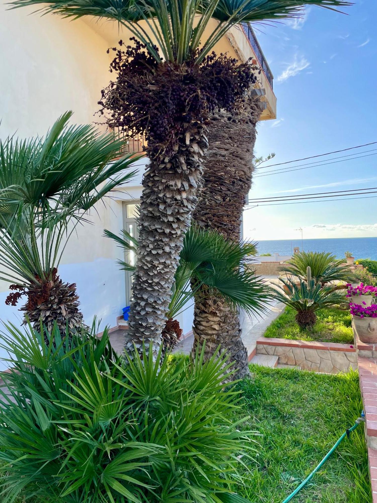 Villa Sul Mare Palazzolo Trappeto  Dış mekan fotoğraf