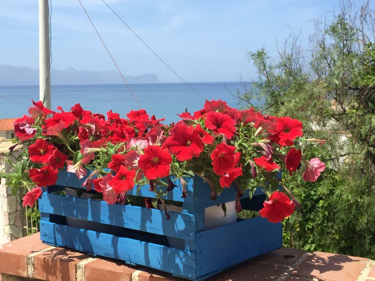 Villa Sul Mare Palazzolo Trappeto  Dış mekan fotoğraf